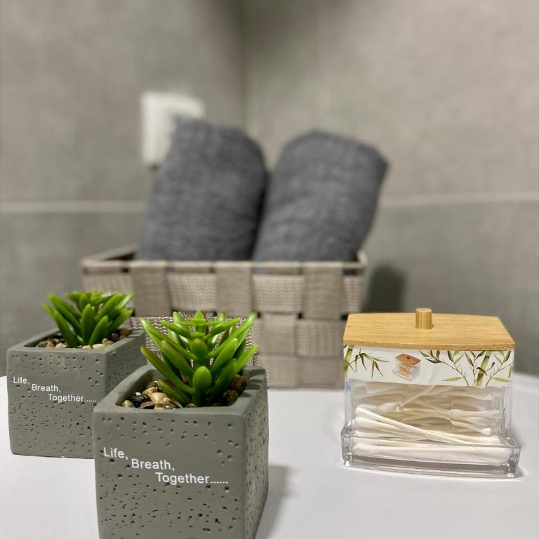 Verde Apartment - Apartman sa 1 Spavaćom Sobom - 2