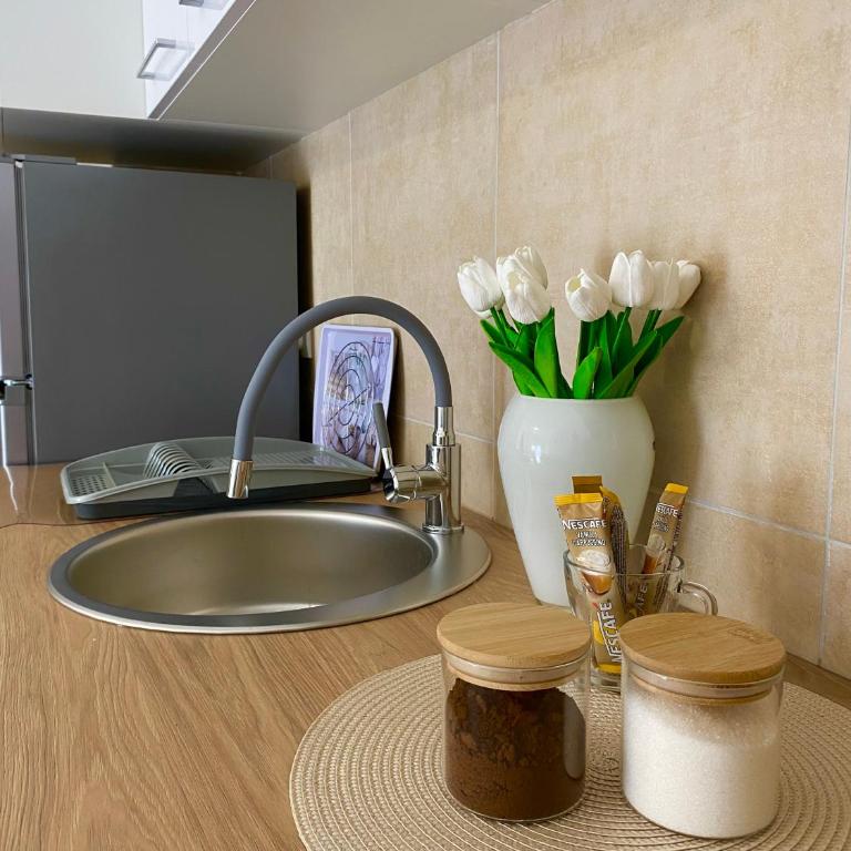 Verde Apartment - Apartman sa 1 Spavaćom Sobom - 16
