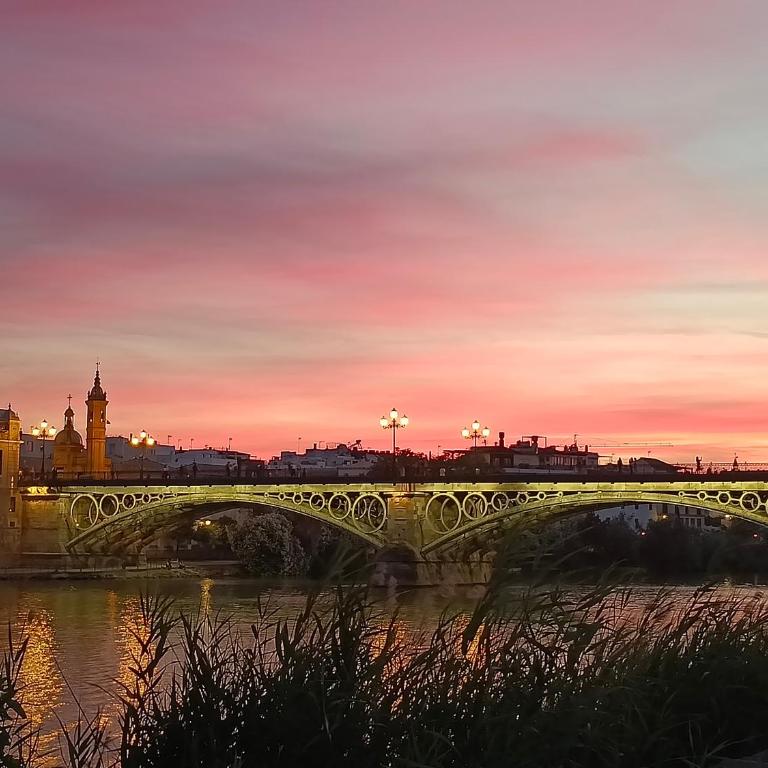 Feria apartment, near Plaza España - Apartment with Terrace and Garden/ River View - 28