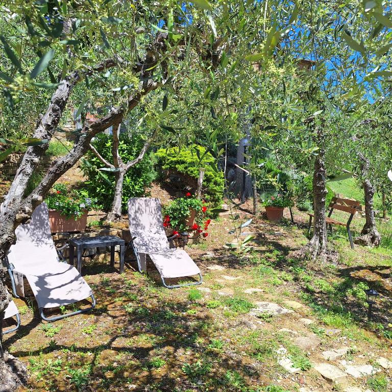 casa vacanze nel Chianti il Granaio - Casa con 2 Camere da Letto - 12
