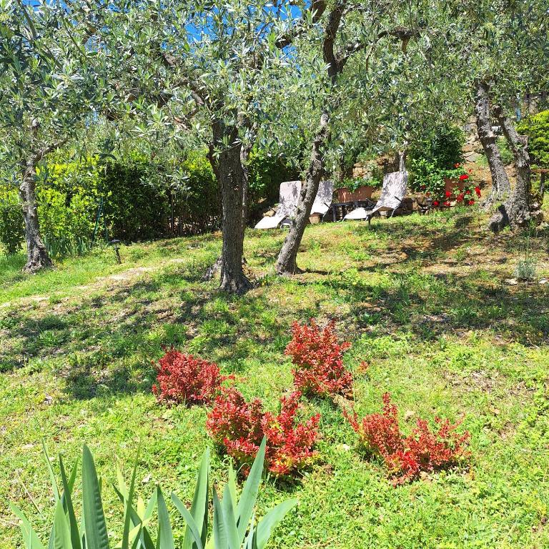 casa vacanze nel Chianti il Granaio - Casa con 2 Camere da Letto - 13