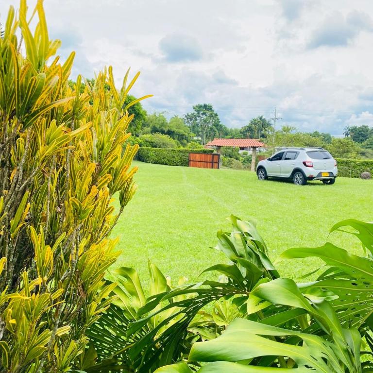 Refugio Botánico en Cerritos pereira Jacuzzi y naturaleza - Casa de 3 dormitorios - 3