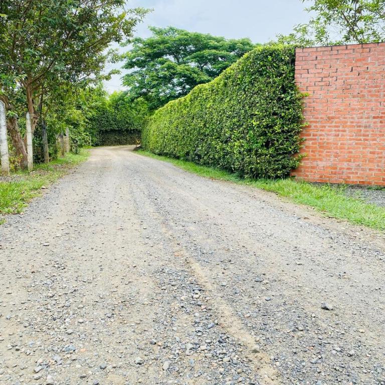 Refugio Botánico en Cerritos pereira Jacuzzi y naturaleza - Casa de 3 dormitorios - 7