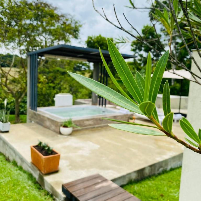 Refugio Botánico en Cerritos pereira Jacuzzi y naturaleza - Casa de 3 dormitorios - 15
