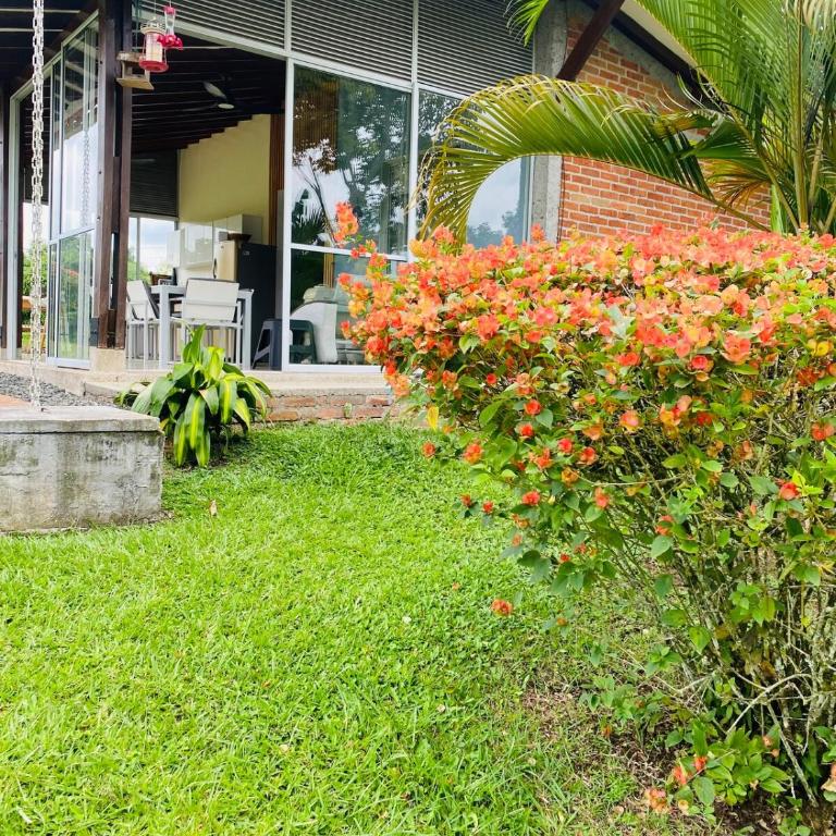 Refugio Botánico en Cerritos pereira Jacuzzi y naturaleza - Casa de 3 dormitorios - 39