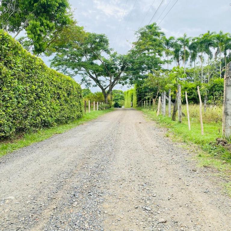 Refugio Botánico en Cerritos pereira Jacuzzi y naturaleza - Casa de 3 dormitorios - 41
