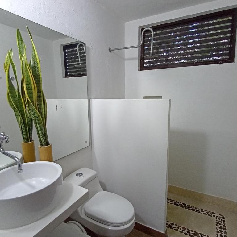 Finca Bonnavista, Suroeste, Puente Iglesias - Casa de 5 dormitorios - 12
