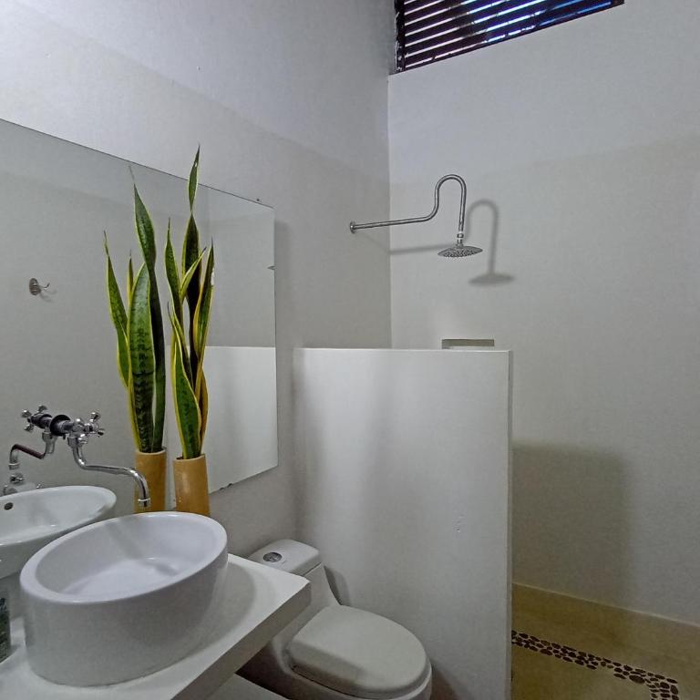 Finca Bonnavista, Suroeste, Puente Iglesias - Casa de 5 dormitorios - 14