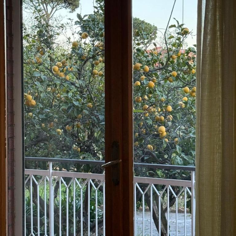 Lemon House Formia - Two-Bedroom Apartment - 4