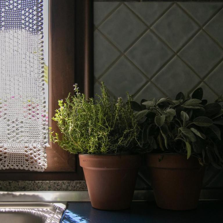 La casa dei nonni - Cala Gonone - Appartamento con 2 Camere da Letto - 58