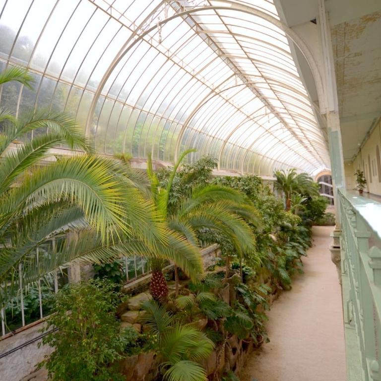 MONACO BLUE SEA OVER WIDE BALCONY for GRAND PRIX - Two-Bedroom Apartment - 19