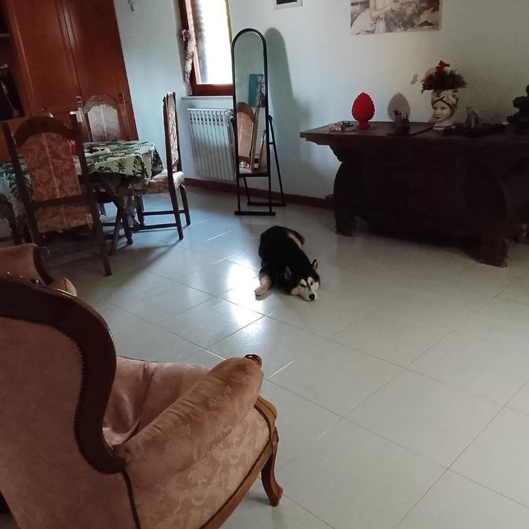 Sam house - Two-Bedroom House - 18