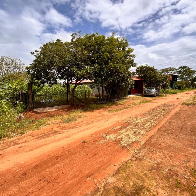Rincón Llanero - Casa - 1