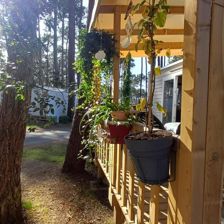 Mobil-home climatisé - Terrasse et portillon - proche océan - Casa Móvil - 5