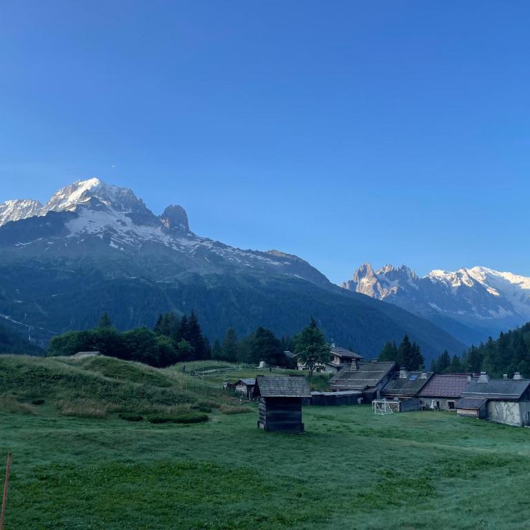 Stylish Alpine Base near Le Tour & Argentière - Apartment mit 1 Schlafzimmer - 21