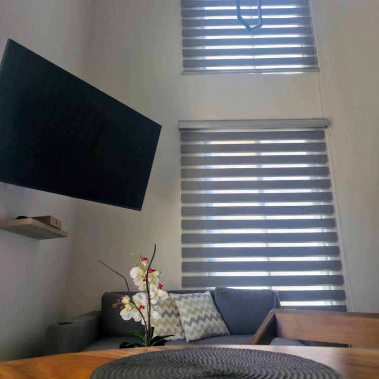 Morelos 221 Downtown Area Loft with Private Terrace - Apartamento de 1 dormitorio - 7