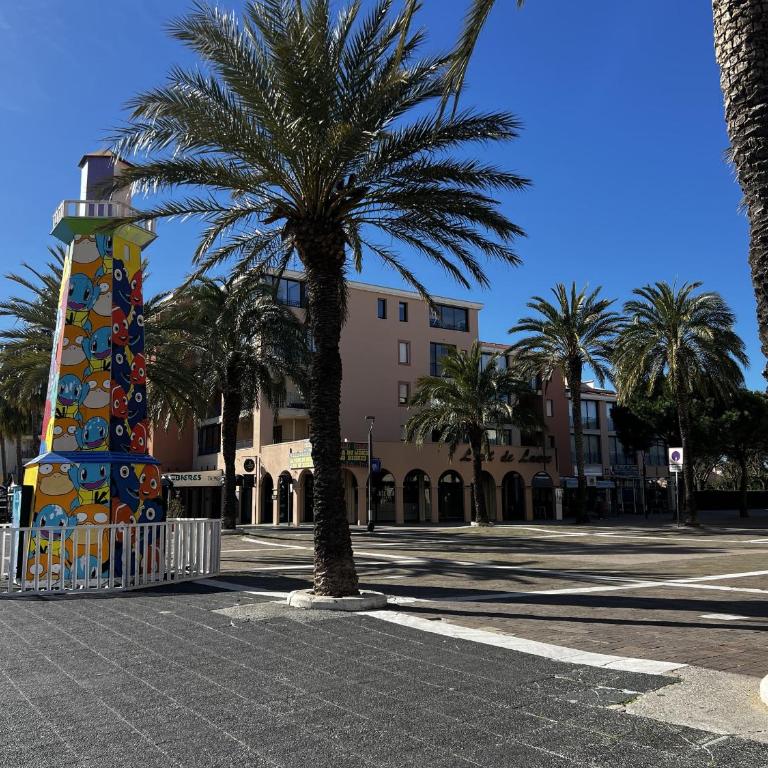 Studio cabine à Port Argelès avec loggia et parking privatif - FR-1-309-416 - Appartement - 12