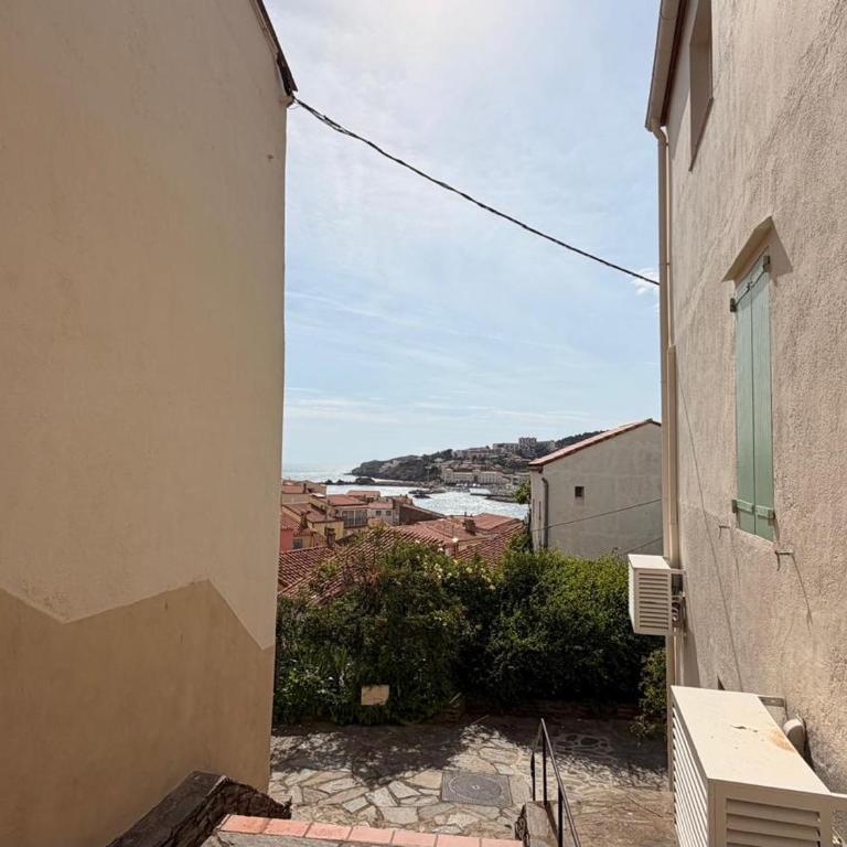 Appartement ravissant vue mer - 2 pers. - FR-1-309-576 - Appartamento con 1 Camera da Letto - 17