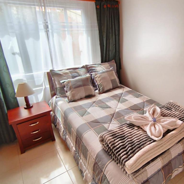 Luma Dorada - Habitación Individual con baño compartido - 7