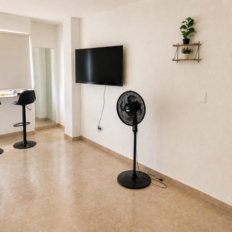Edificio Elizabeth - One-Bedroom Apartment - 8