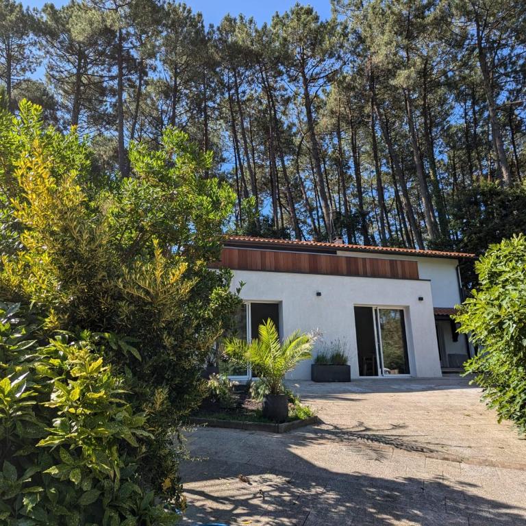 Nid douillet sous les pins - Two-Bedroom Apartment - 3