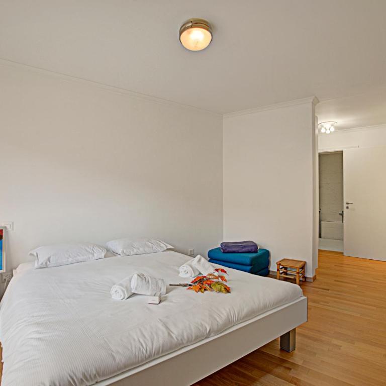 Ô Lac Ascona with Garden - Happy Rentals - Appartamento con Terrazza - 15