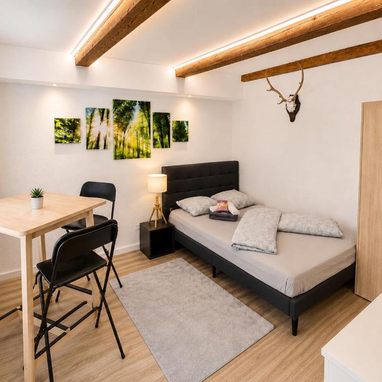 Innsbruck Old Town Studio I 24-7 Self-Check-in - Studio - 1