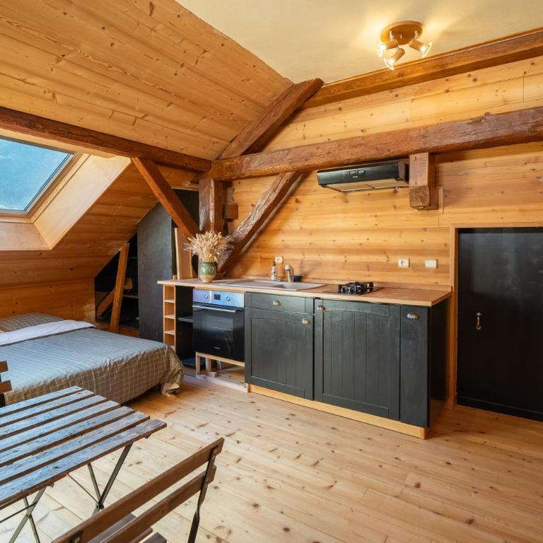 Studio St Férreol - Porte des Aravis et des Bauges, lac d'Annecy - Studio - 1