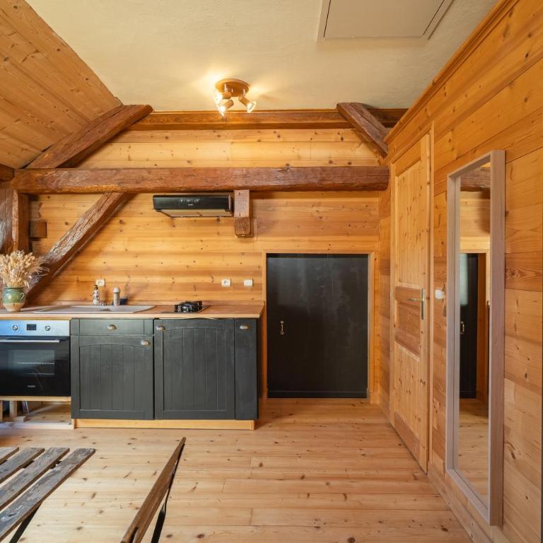 Studio St Férreol - Porte des Aravis et des Bauges, lac d'Annecy - Studio - 3