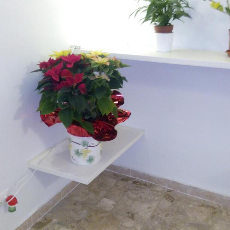 Appartamento Rifredi - Appartamento con 2 Camere da Letto - 12