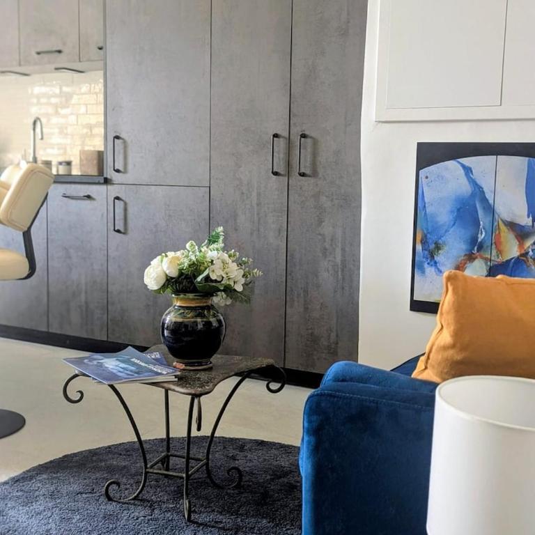Le Salon Bleu - Histoire de Vaison - Appartement 1 Chambre - 27