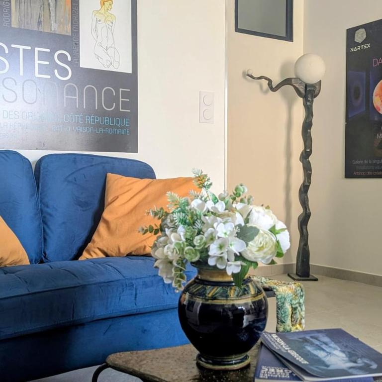 Le Salon Bleu - Histoire de Vaison - Appartement 1 Chambre - 26