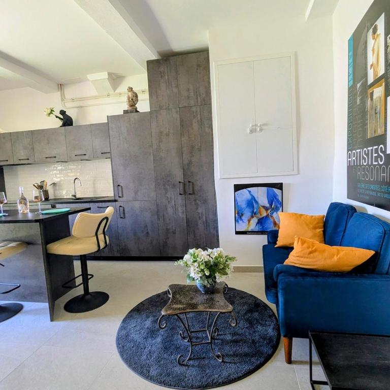 Le Salon Bleu - Histoire de Vaison - Appartement 1 Chambre - 23