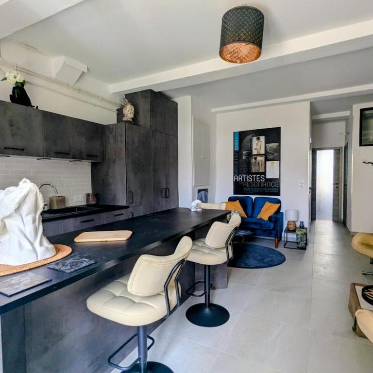 Le Salon Bleu - Histoire de Vaison - Appartement 1 Chambre - 22