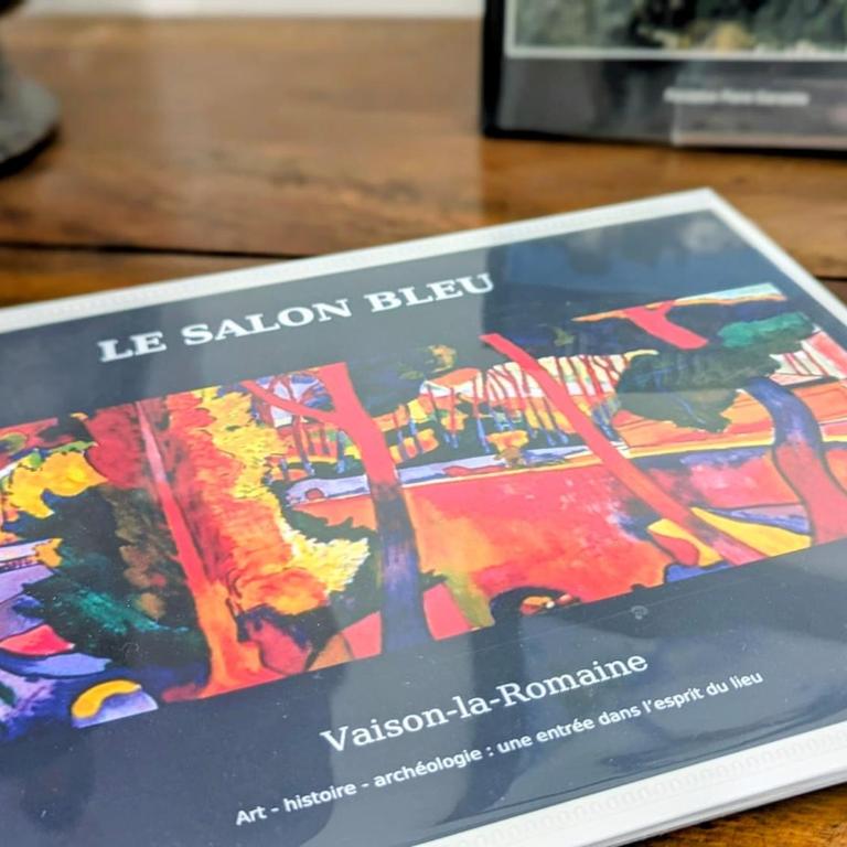 Le Salon Bleu - Histoire de Vaison - Appartement 1 Chambre - 7