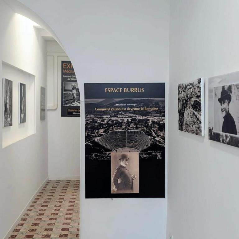 Le Salon Bleu - Histoire de Vaison - Appartement 1 Chambre - 5
