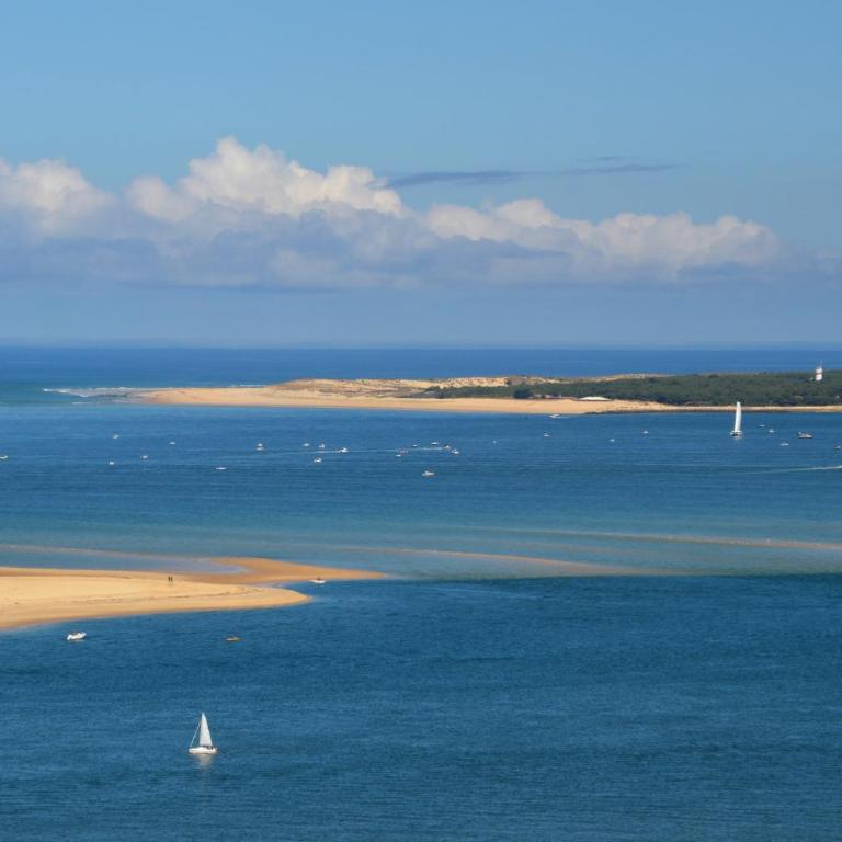 L'Arguin - Studio cosy en plein coeur d'Arcachon - Estudio - 16