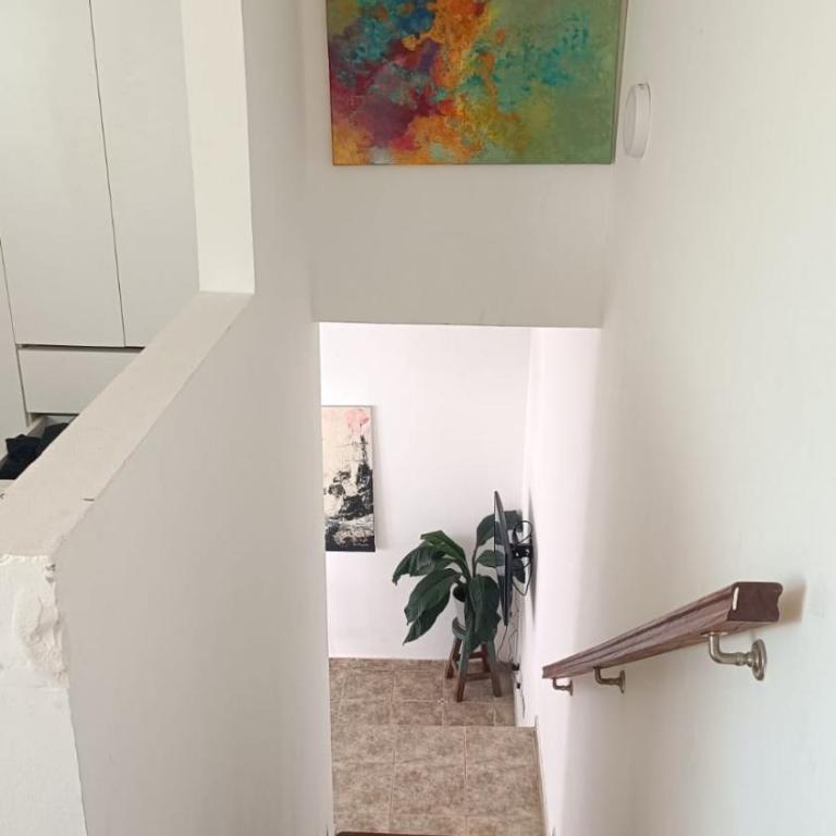 PH en La Plata - Apartamento de 1 dormitorio - 4