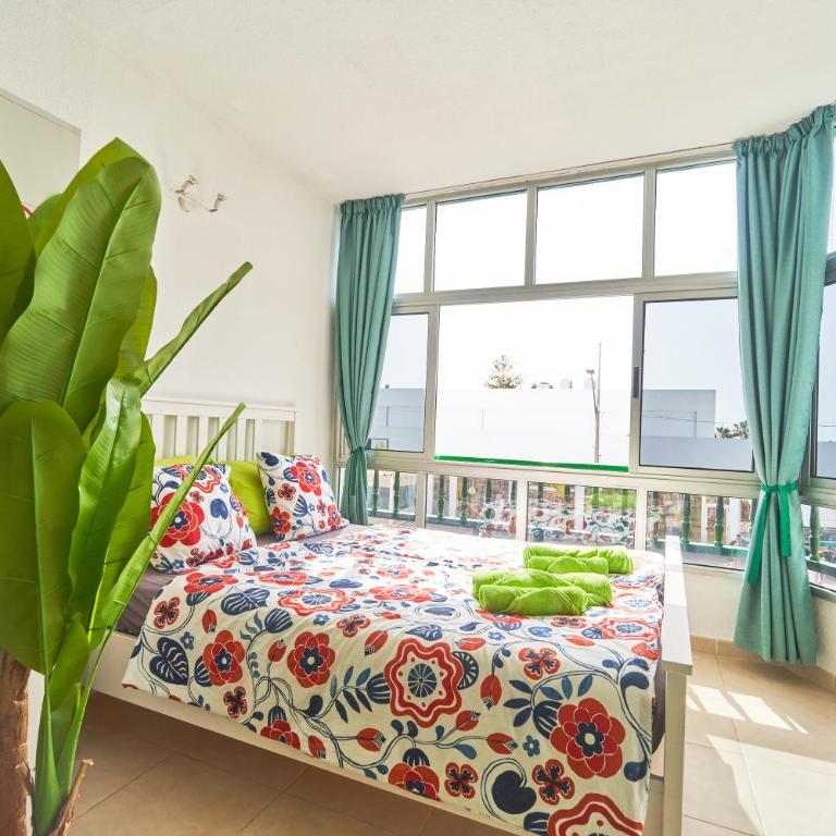 Casa Verde Corralejo - Apartamento de 1 dormitorio - 17