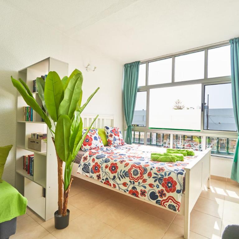 Casa Verde Corralejo - Apartamento de 1 dormitorio - 10