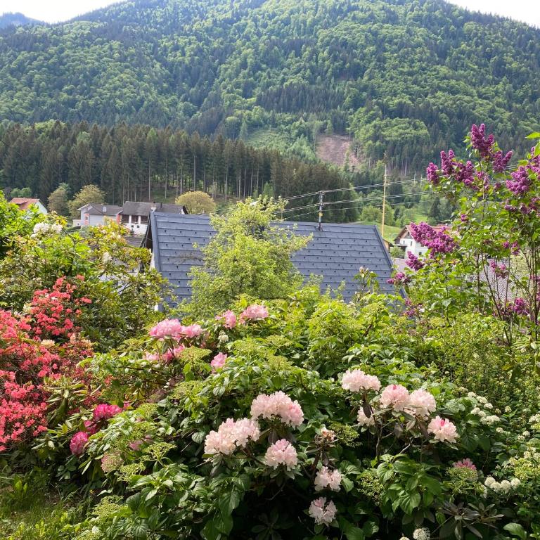 Ferienhaus Kramser - Apartment mit Gartenblick - 3