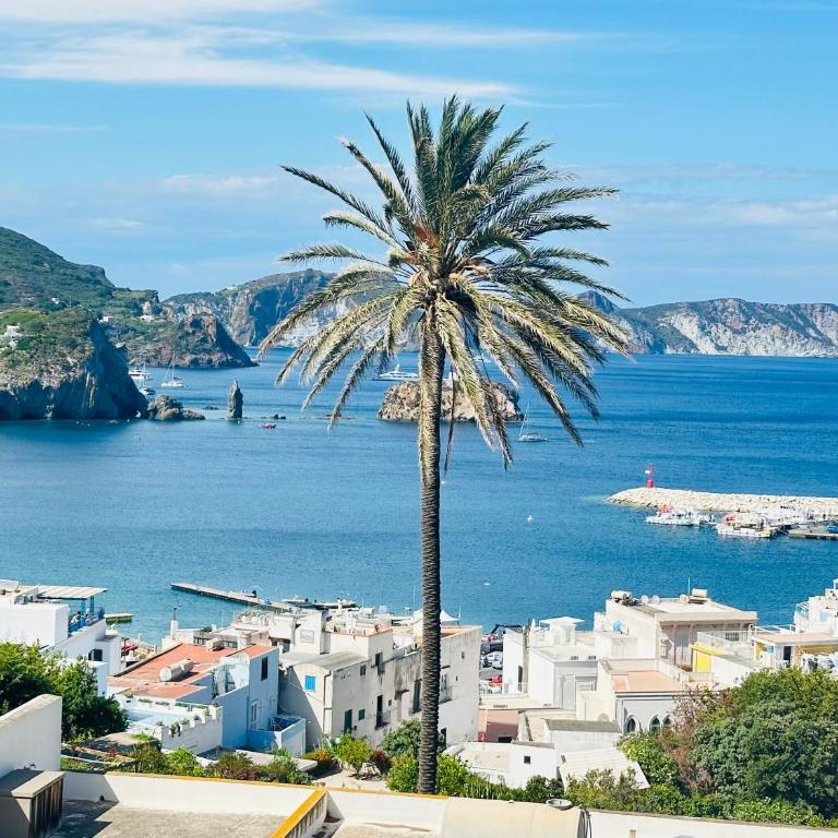La casa di Feruri a Ponza - Appartamento con 1 Camera da Letto - 3