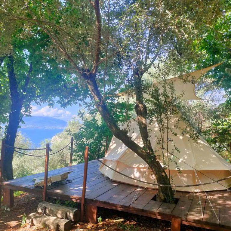 Habitat Eco Farm - TENDO CASTAGNO - 2