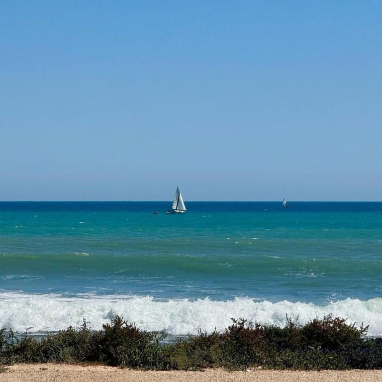 Palm Breeze Residence - Apartamento Suite - 17