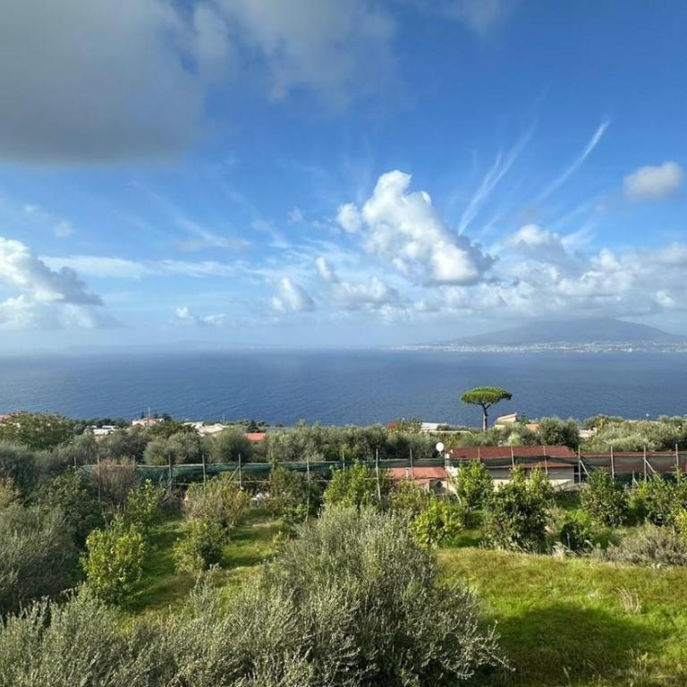 Il Casale Del Sole Montechiaro - Appartamento Monolocale con Vista Mare - 11