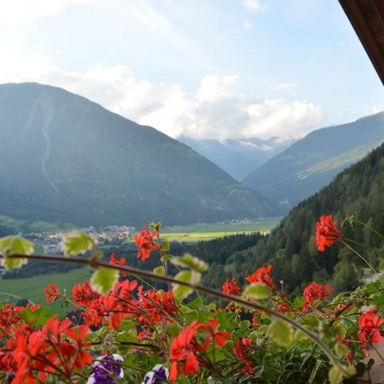 Ausserhaslerhof - Appartamento Deluxe con 2 Camere da Letto e Vista Giardino - 9
