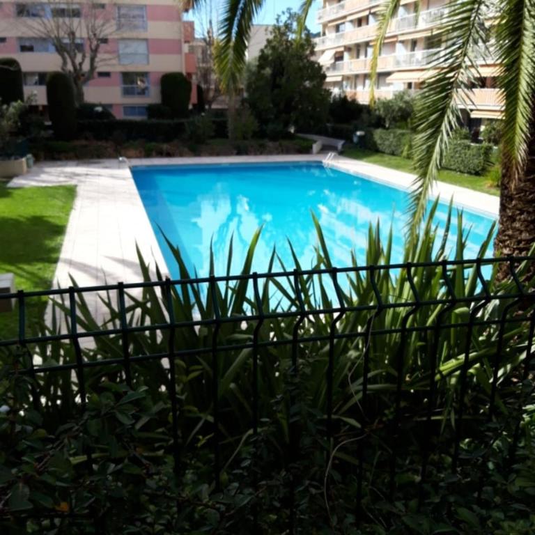 Beautiful apartment with shared pool in Vallauris - Apartment - 12