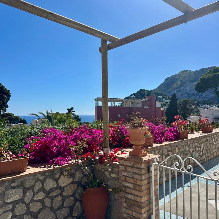 Capri Joy Apartments - Casa con 2 Camere da Letto - 34