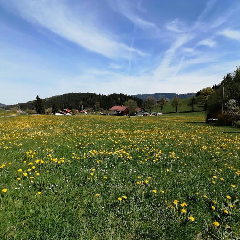 Ferienhaus Allgäu-Haisle - Apartment - Erdgeschoss - 24