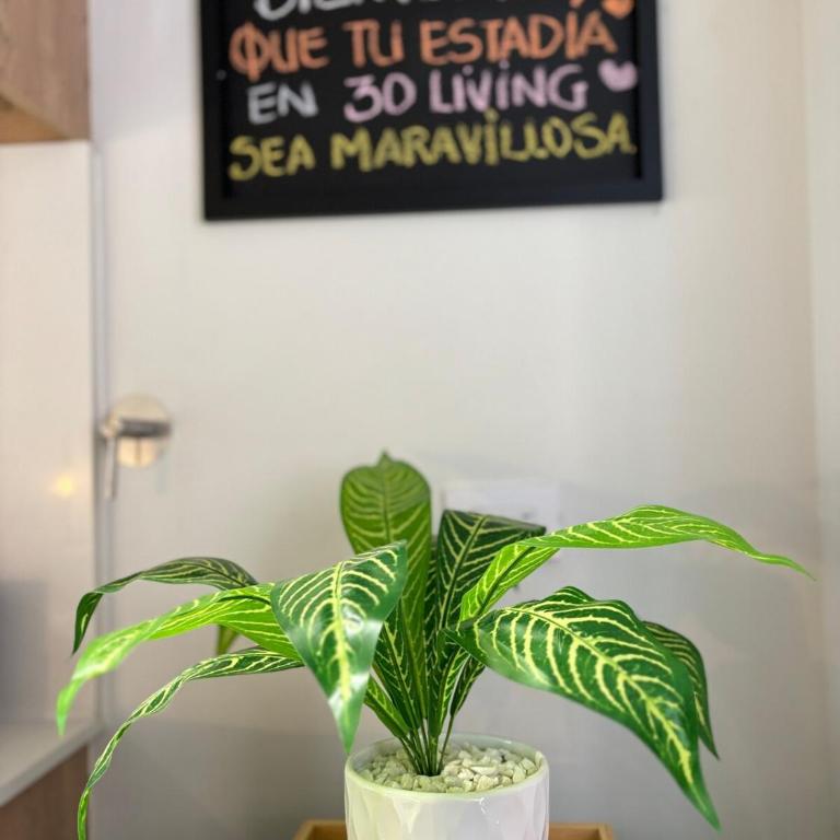 Loft en 30 living con jacuzzi terraza 301 - Two-Bedroom Apartment - 19